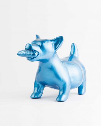 Xoloitzcuintle Maicero Grande