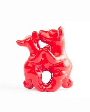 Xoloitzcuintles Colimenses Chicos